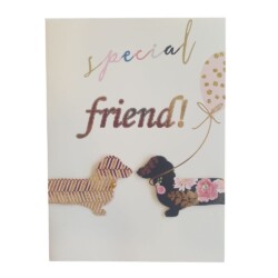 Κάρτα 3D Special Friend  17x12,5εκ.